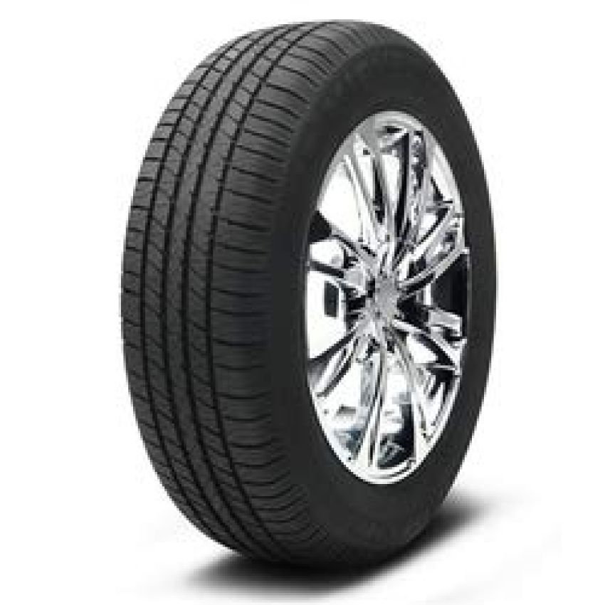 MICHELIN Energy LX4 All-Season
