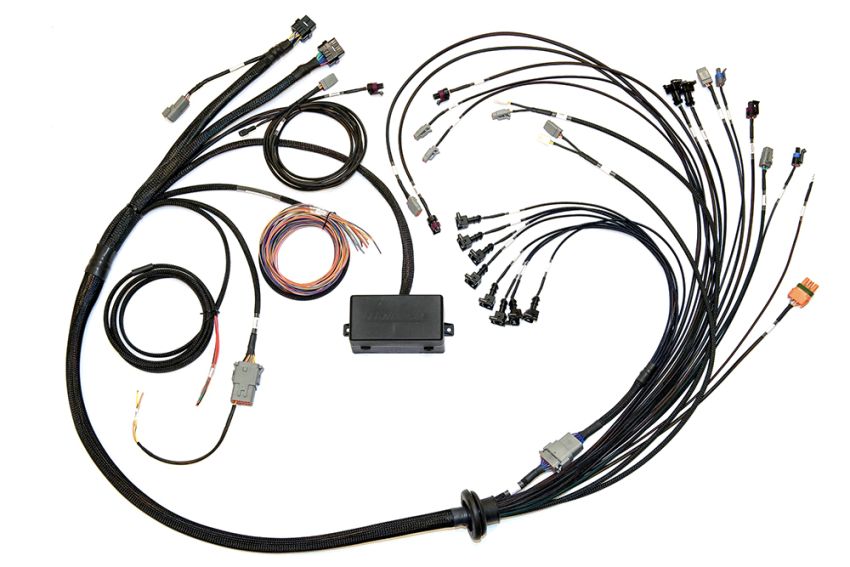 Haltech HT-141376 Elite 2000/2500 Terminated Harness w/EV1 Inj Connectors