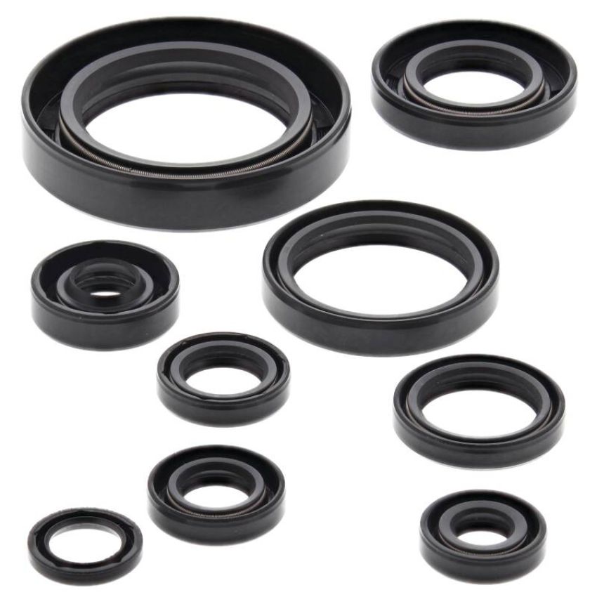 Vertex Pistons 822177 Vertex Gaskets 02-04 Honda CR250R Oil Seal Kit