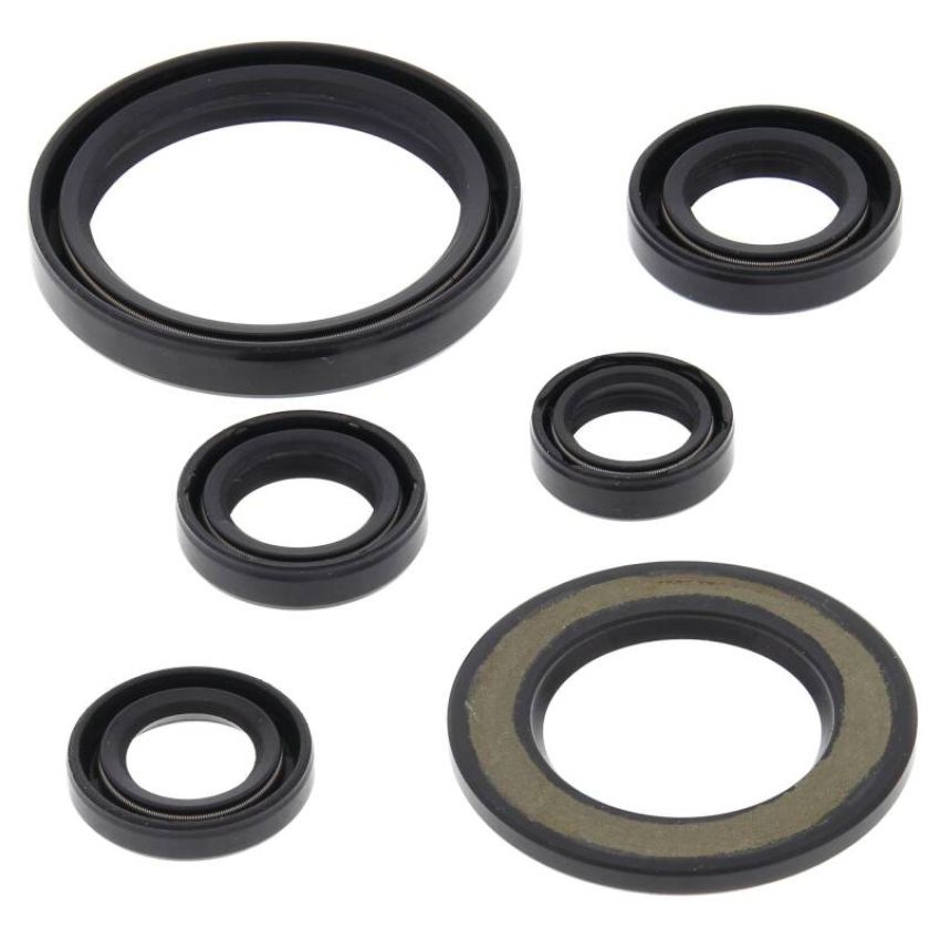 Vertex Pistons 822338 Vertex Gaskets 06-23 Yamaha YFM700R Raptor Oil Seal Kit