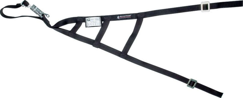 ALLSTAR PERFORMANCE ALL10246 Triangle Window Net SFI