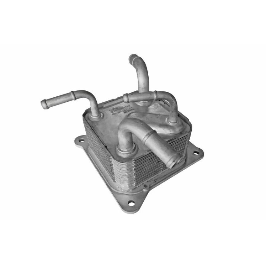 ACKOJA A38-60-0011 Oil Cooler, automatic transmission