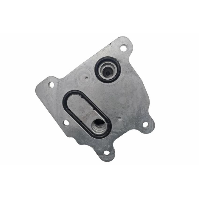 ACKOJA A38-60-0021 Radiador de aceite, aceite motor