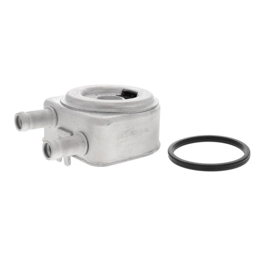ACKOJA A52-60-0019 Oil Cooler, engine oil