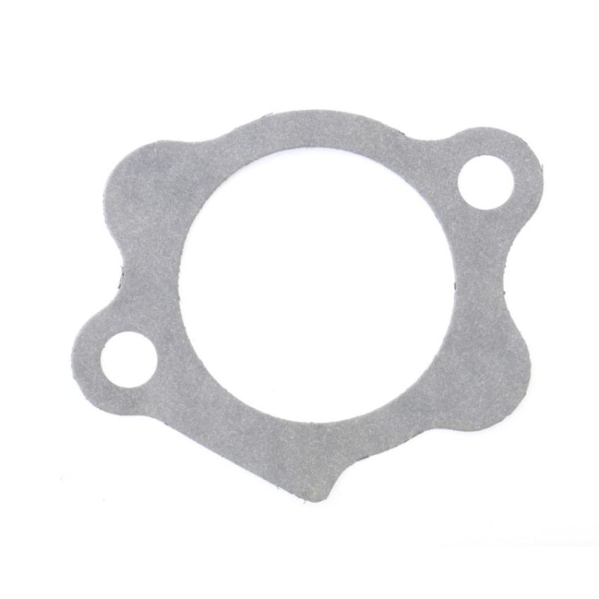 Athena S410195021001 Mount Gaskets