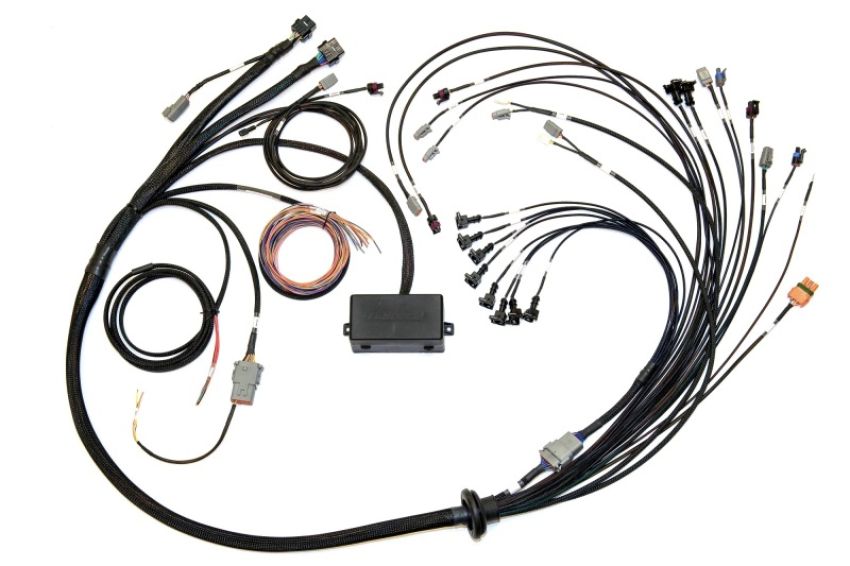 Haltech HT-141376 Elite 2000/2500 Terminated Harness w/EV1 Inj Connectors
