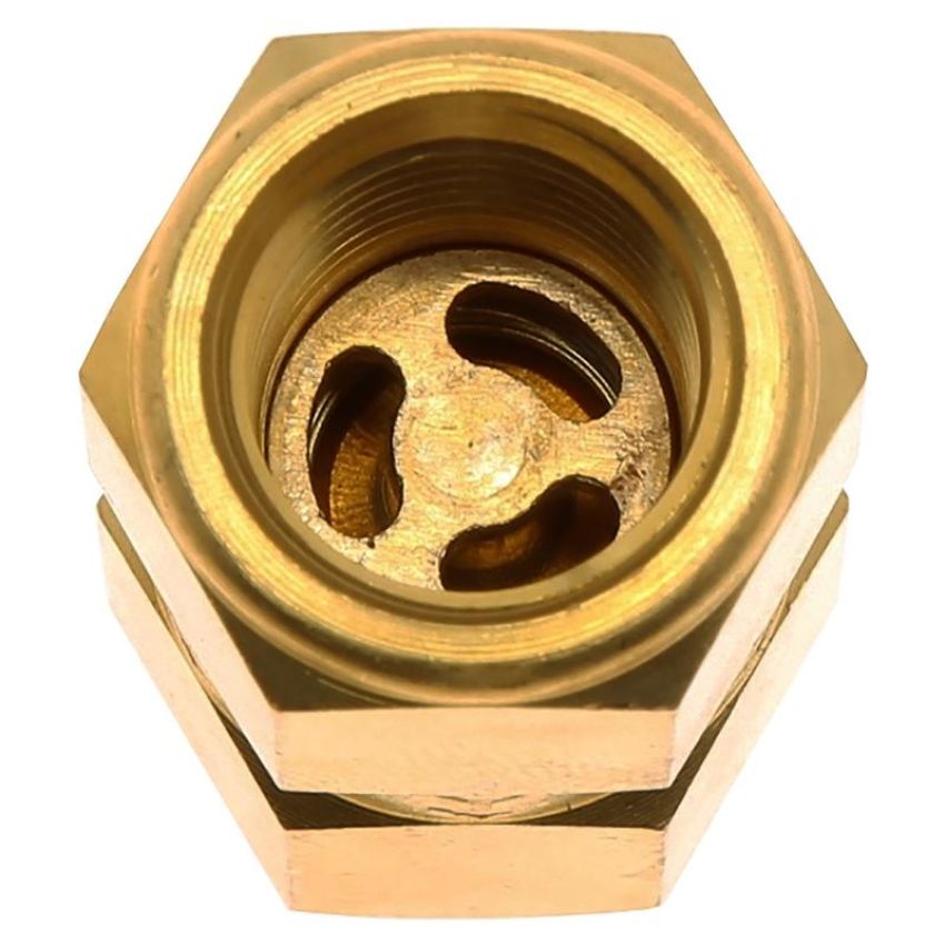 CARTER FUEL PUMPS 169-1002 Fuel Pump Check Valve