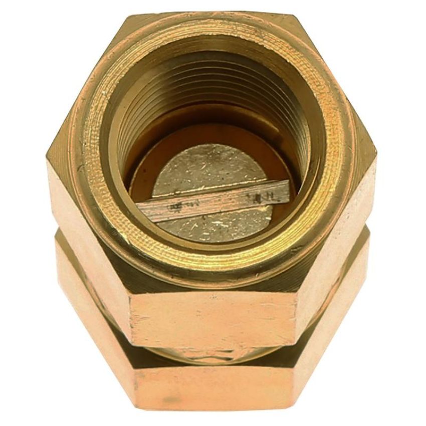 CARTER FUEL PUMPS 169-1002 Fuel Pump Check Valve