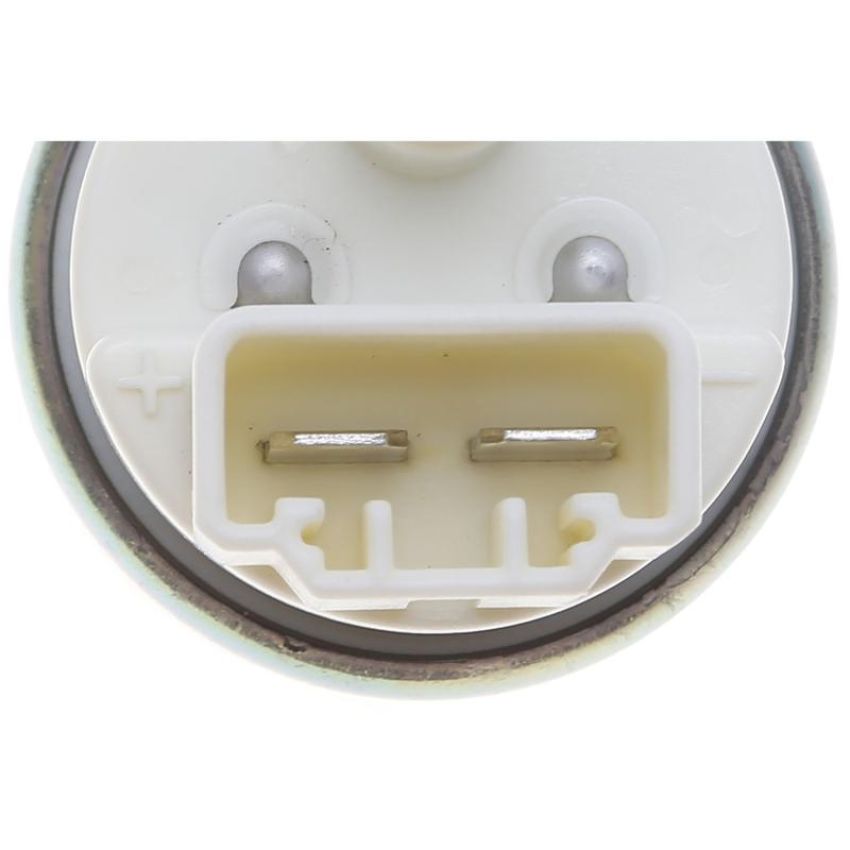 CARTER FUEL PUMPS P76819 In Tank Pump & Strainer Set