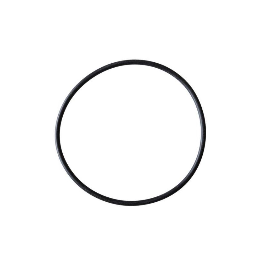 CARTER FUEL PUMPS PTS2043 Fuel Pump Tank Seal