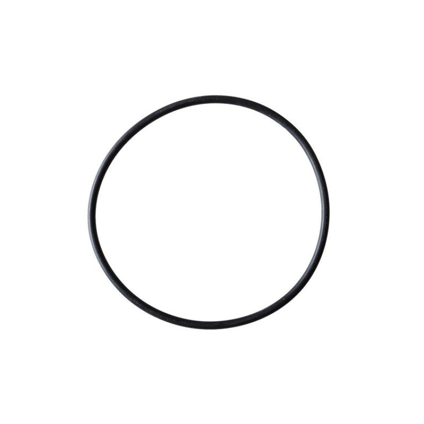 CARTER FUEL PUMPS PTS2043 Fuel Pump Tank Seal