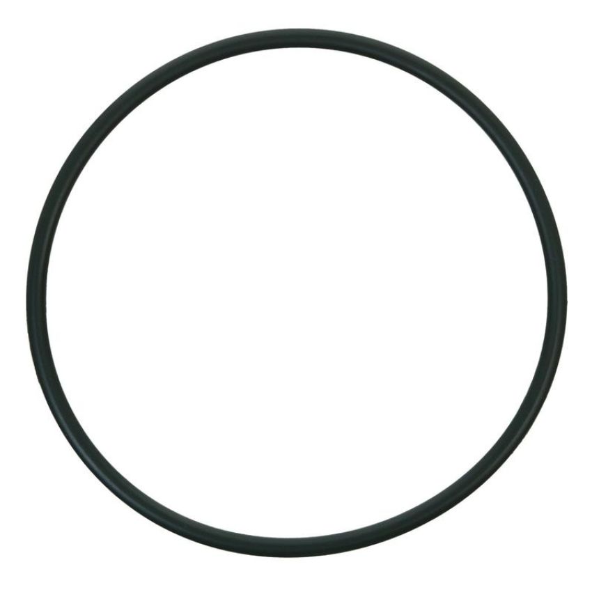 CARTER FUEL PUMPS PTS2047 Fuel Pump Tank Seal