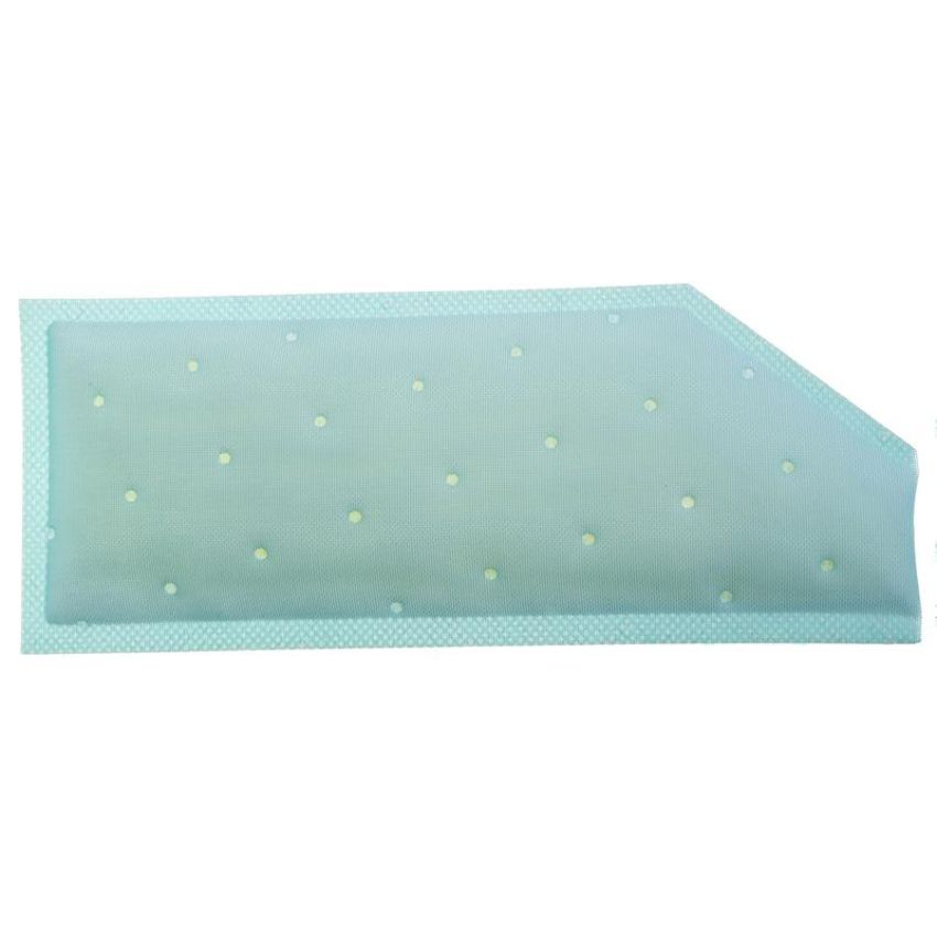 CARTER FUEL PUMPS STS-113 Fuel Pump Strainer
