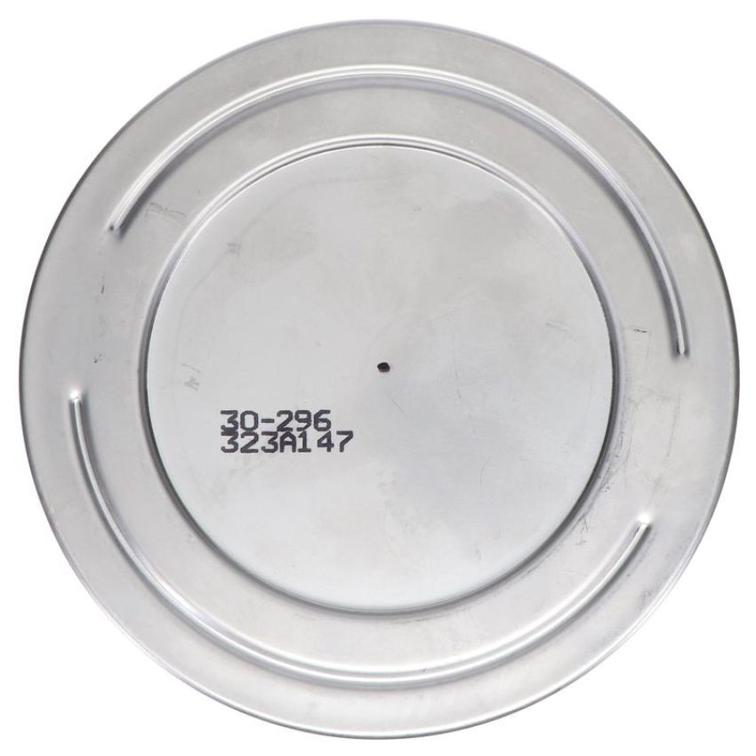 CARTER FUEL PUMPS STS-200 Fuel Pump Strainer