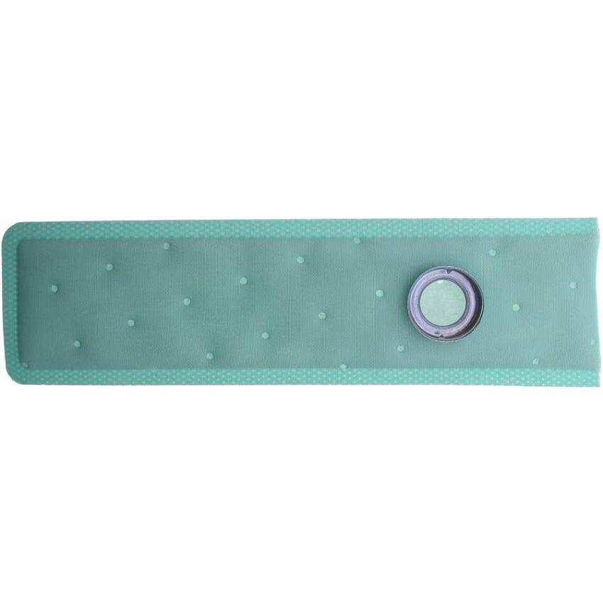 CARTER FUEL PUMPS STS-2 Fuel Pump Strainer