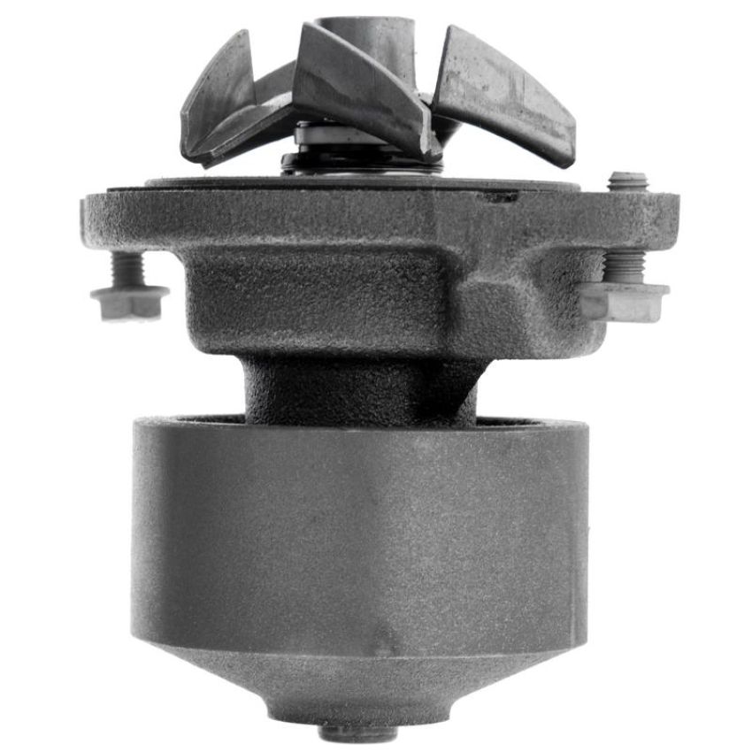 CARTER FUEL PUMPS W2141RF Rapid Fit Engine Water Pump