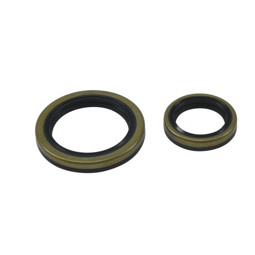 All Balls Racing 24-2043 09-18 Beta EVO 4T 250 Crank Shaft Seal Only Kit