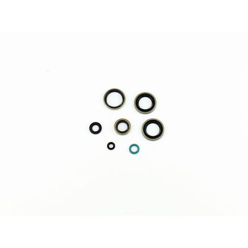 Athena P400250400221 Engine Oil Seal Kits