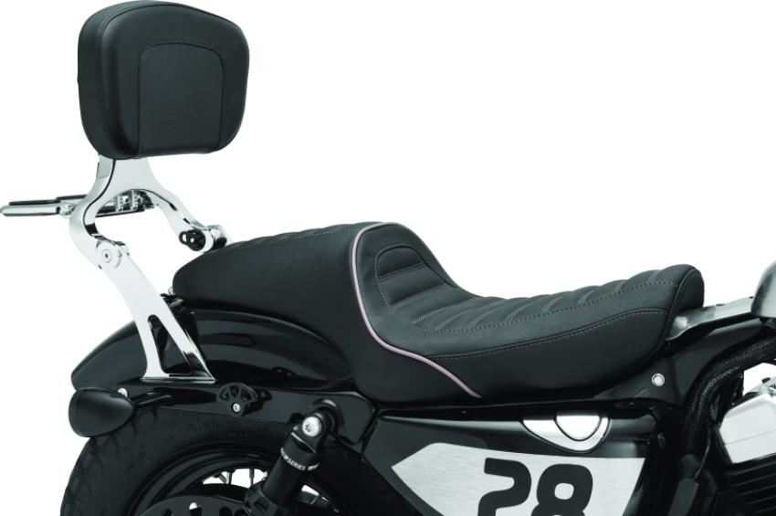 Kuryakyn 7097 Fixed Mounts Multi-Purpose Driver & Passenger Backrest 04-22 XL Models Chrome
