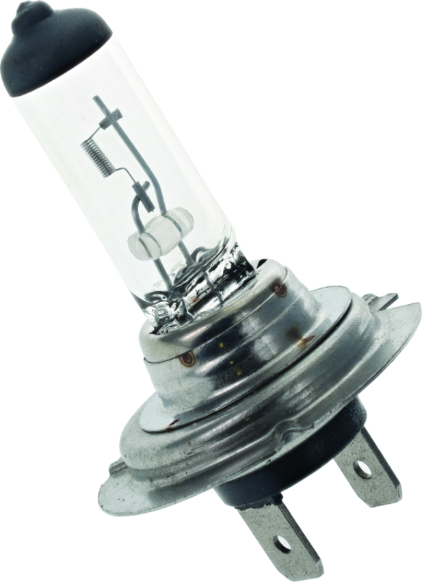 BikeMaster 153469 H-7 Halogen Bulb