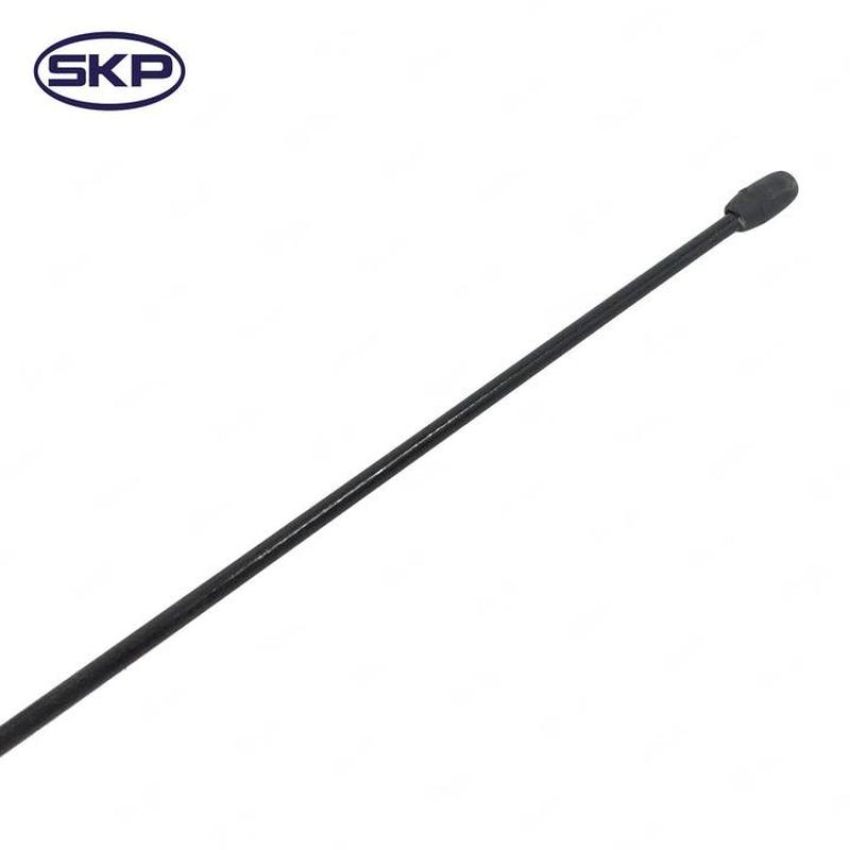 SKYWARD AUTOMOTIVE SK956019 Radio Antenna