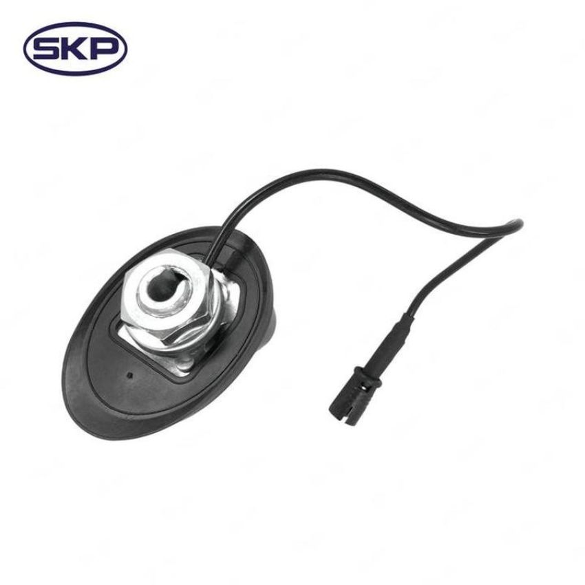 SKYWARD AUTOMOTIVE SK956029 Radio Antenna
