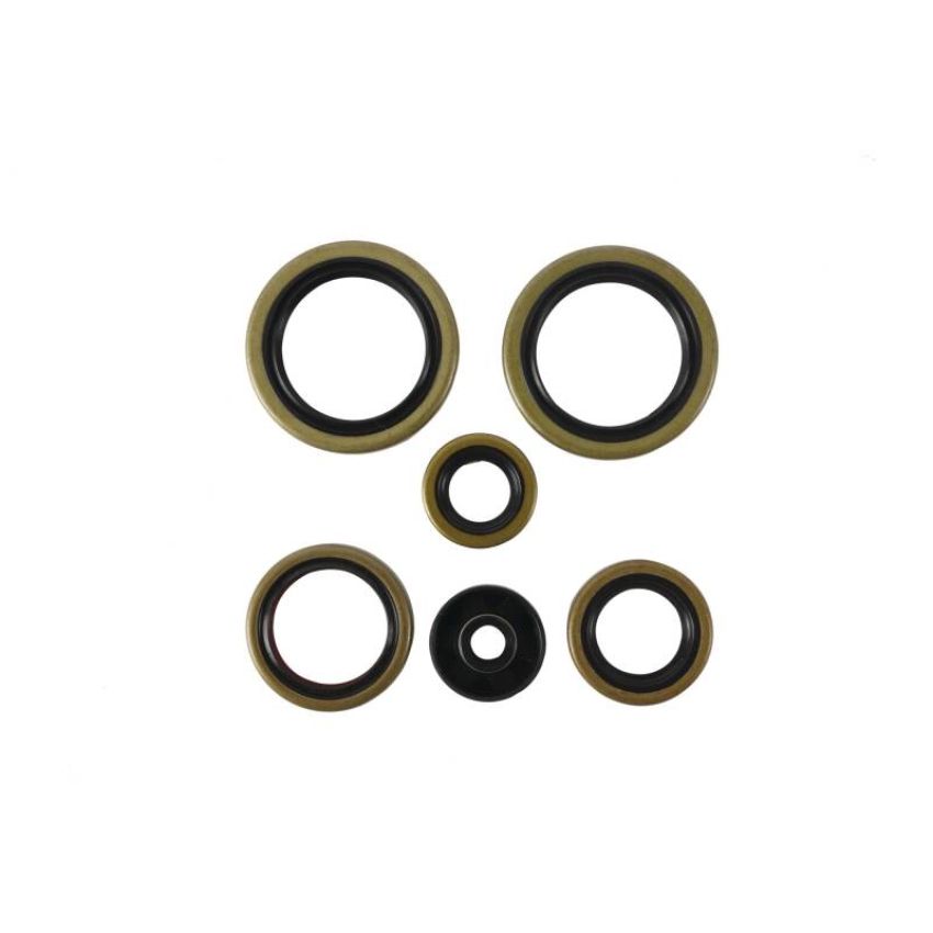 Vertex Pistons 822370 Vertex Gaskets 21-23 Gas-Gas MC125 Oil Seal Kit
