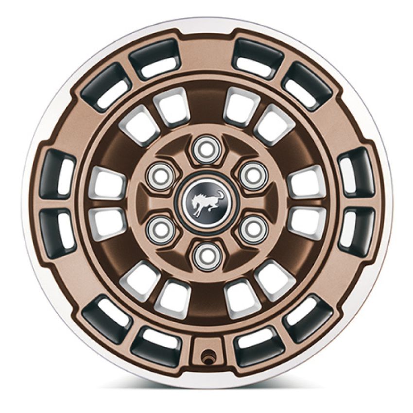 Ford Racing M-1007-P1785BRN 2021-2025 Bronco 17