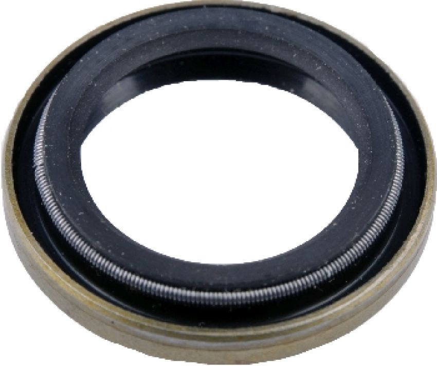 SKF 6119 SKF Grease Seal 6119 OD 0.881 In