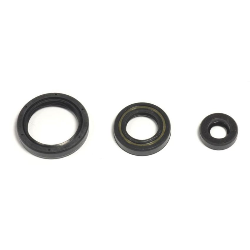Athena P400220400263 10-12 Husqvarna TE/TXC 250 Engine Oil Seal Kit