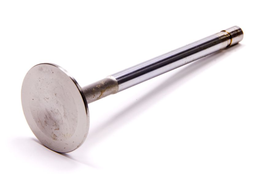 Ford Racing M-6505-B304 Exhaust Valve 302/351W