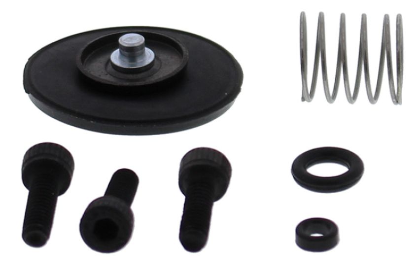 All Balls Racing 46-3011 08-10 Polaris Outlaw 450 Accelerator Pump Rebuild Kit