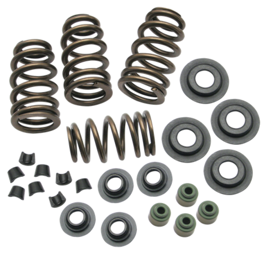 S&S Cycle 106-5909 04-19 XL Valve Spring Kit - .650in
