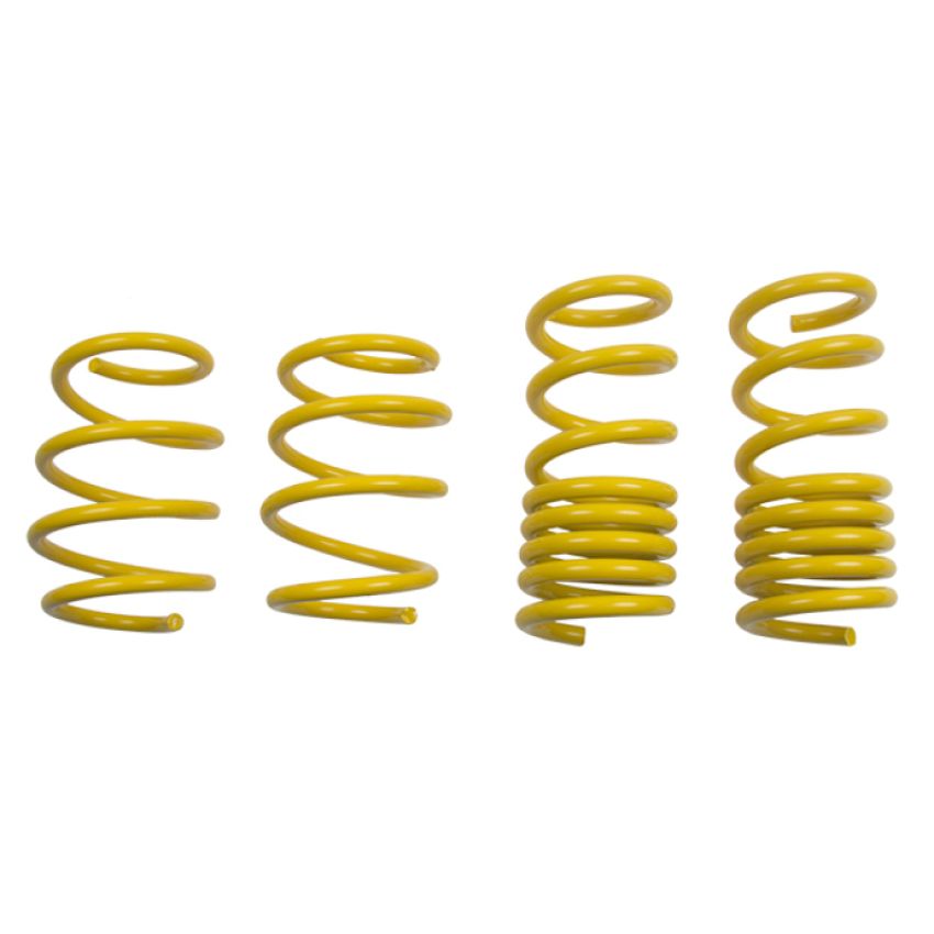 Suspension (28230052 ST LOWERING SPRINGS)