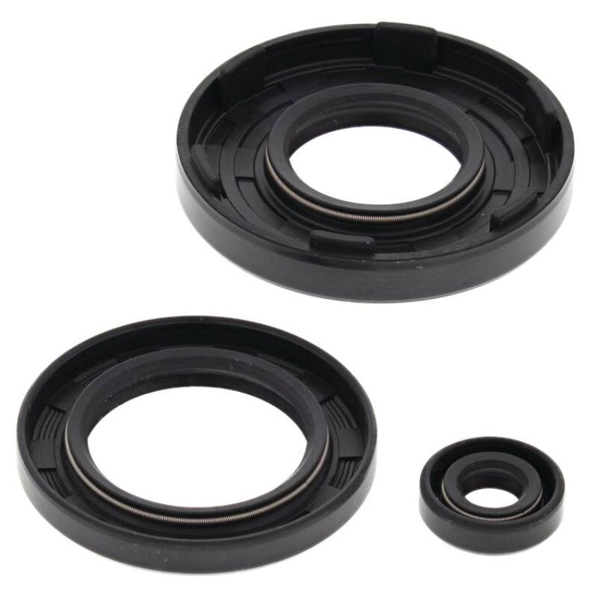 Vertex Pistons 55111 Vertex Gaskets 91-93 Arctic Cat Cheetah Touring Oil Seal Kit