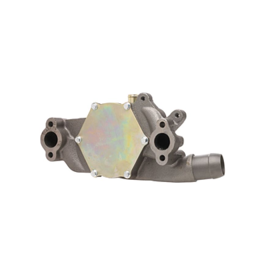 Dayco DP1019 Water Pump
