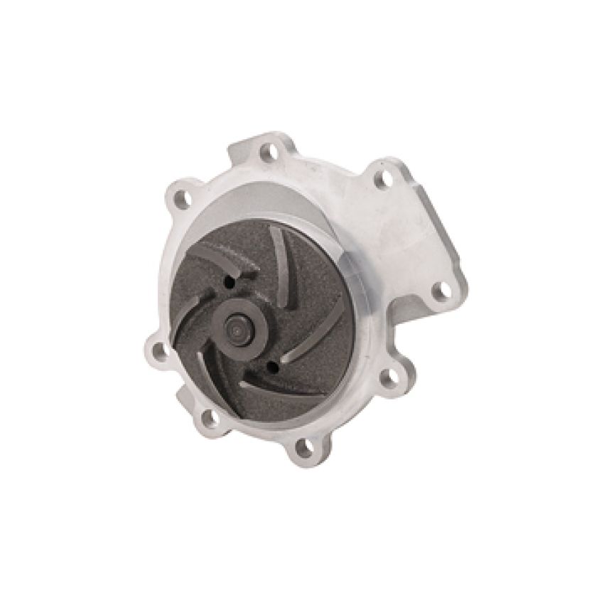 Dayco DP297 Water Pump