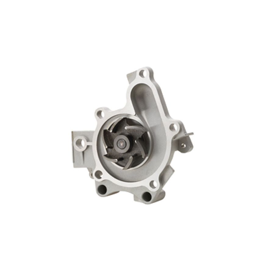 Dayco DP406 Water Pump