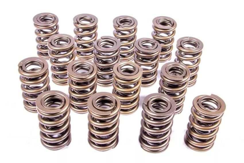 PAC RACING SPRINGS PACPAC-1202-16 1.244 Dual Valve Springs (16)