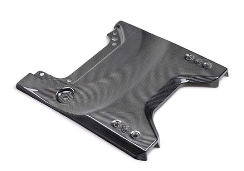 Ford Racing M-16600-BG 2022-2025 Bronco Raptor Carbon Fiber Tailgate Applique-Gloss
