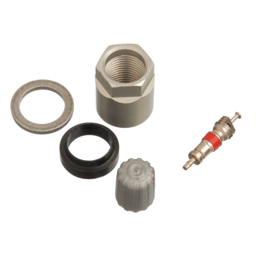 SCHRADER VALVES 20031-25 TPMS Service Pk - Clamp-In - 25 Pk Pack of 25