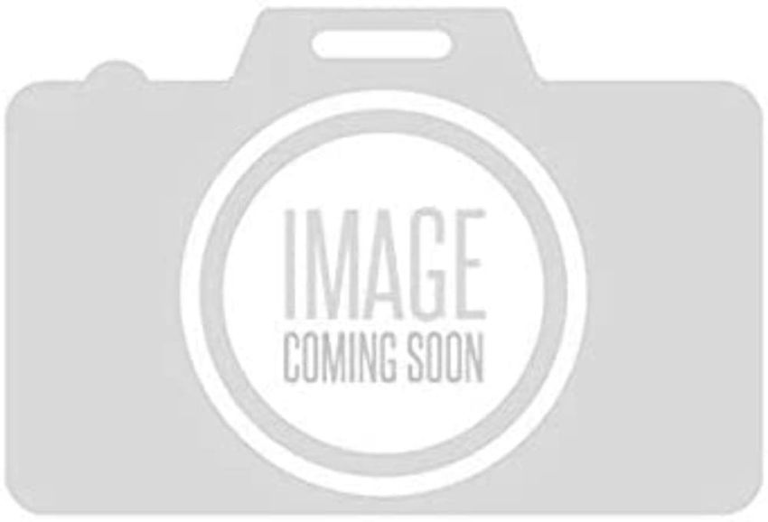 Clevite MS-2248P-.25MM
