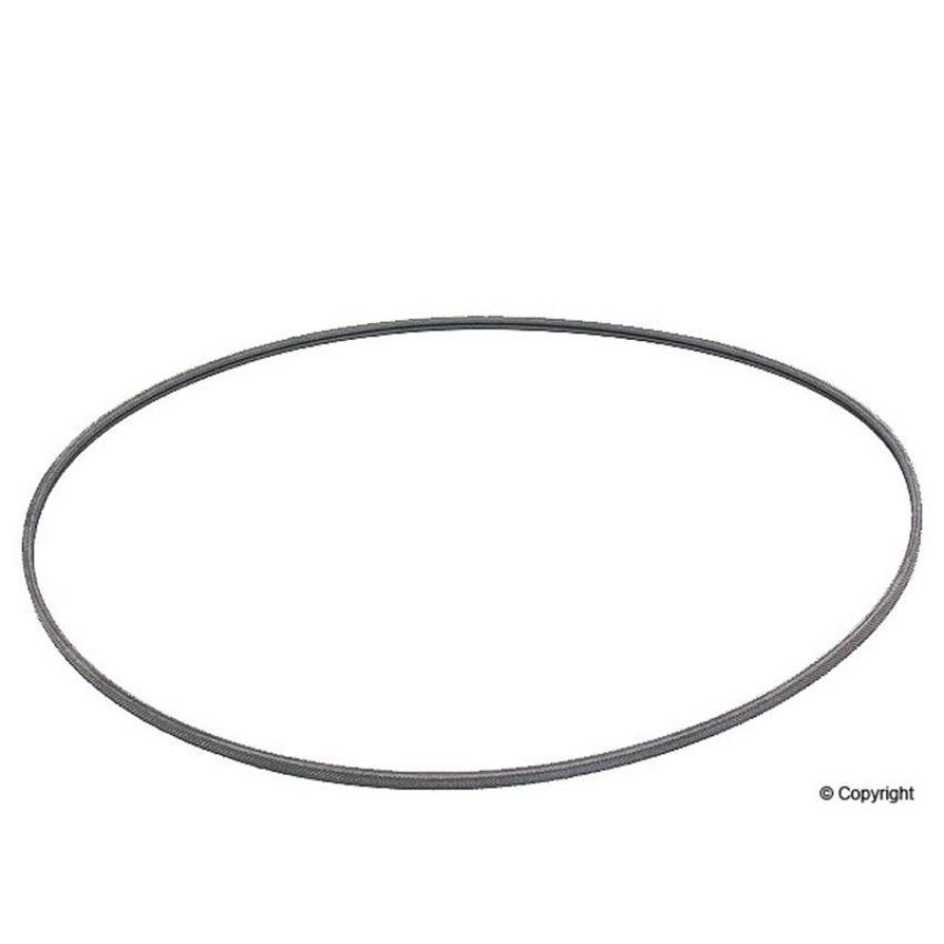 CONTITECH 2PJ800 Metric Multi-V Belt