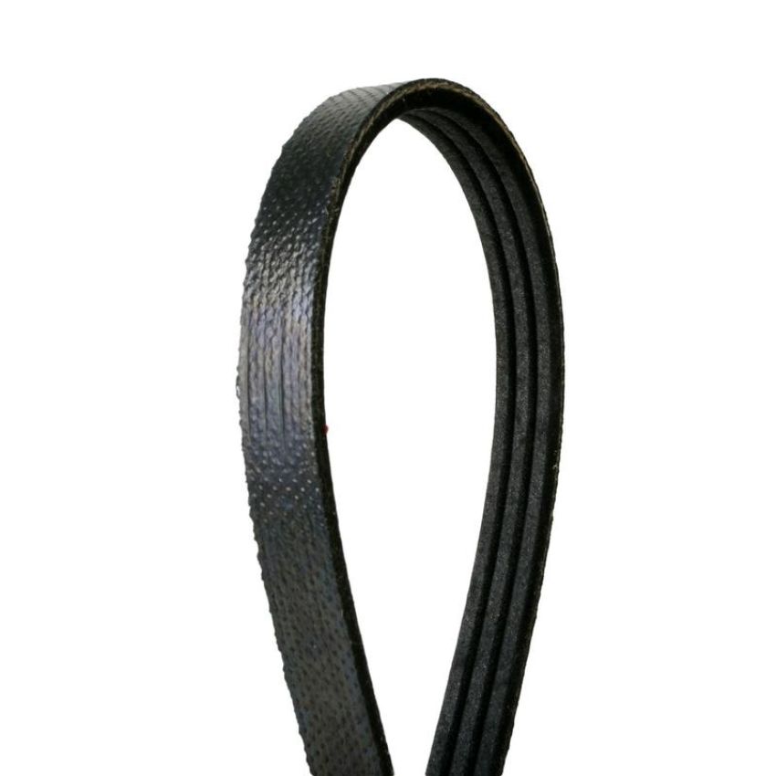 CONTITECH 4030472 Multi-V Belt