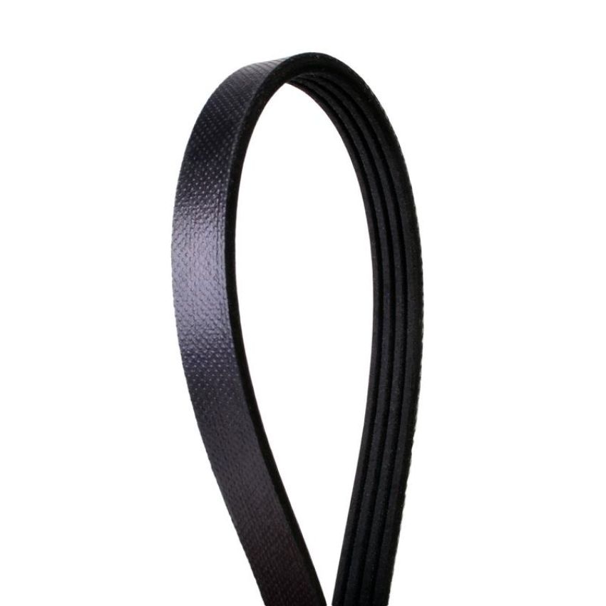 CONTITECH 4040512 Multi-V Belt