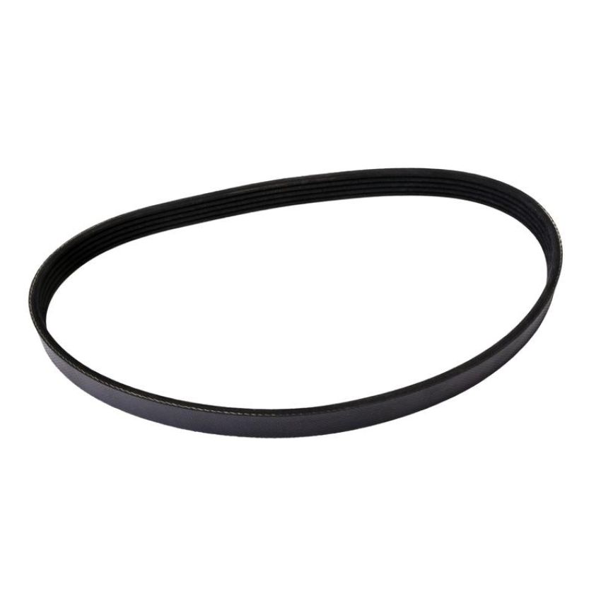CONTITECH 4050448 Multi-V Belt