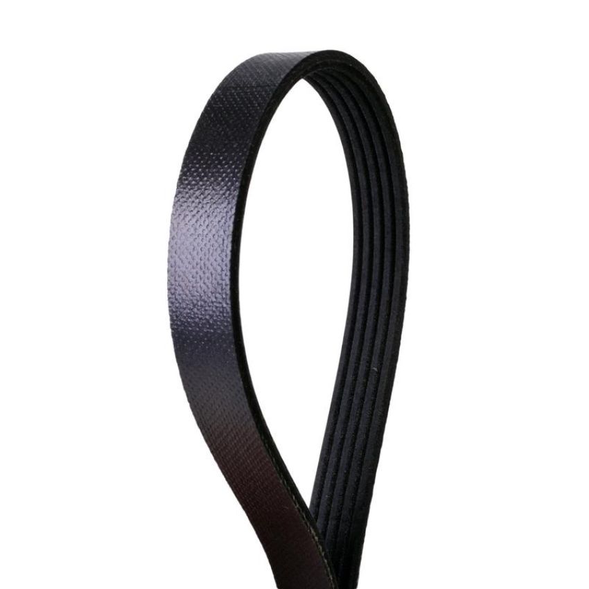 CONTITECH 4050448 Multi-V Belt