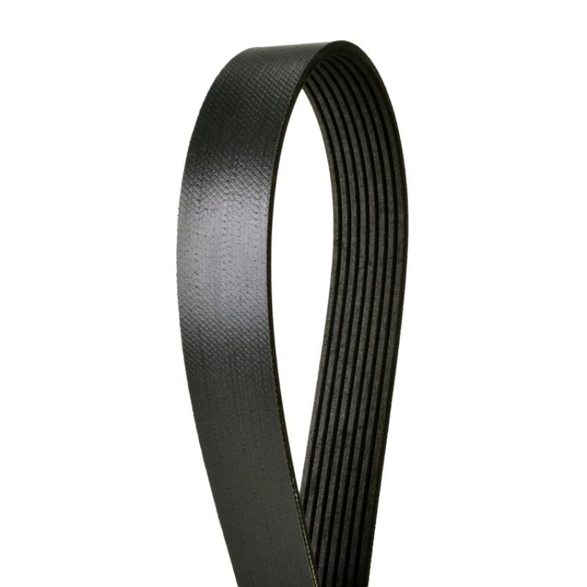 CONTITECH 4080805X Multi-V Extreme Duty Belt