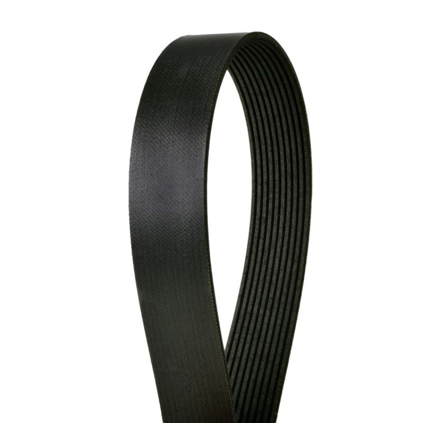 CONTITECH 4100503X Multi-V Extreme Duty Belt