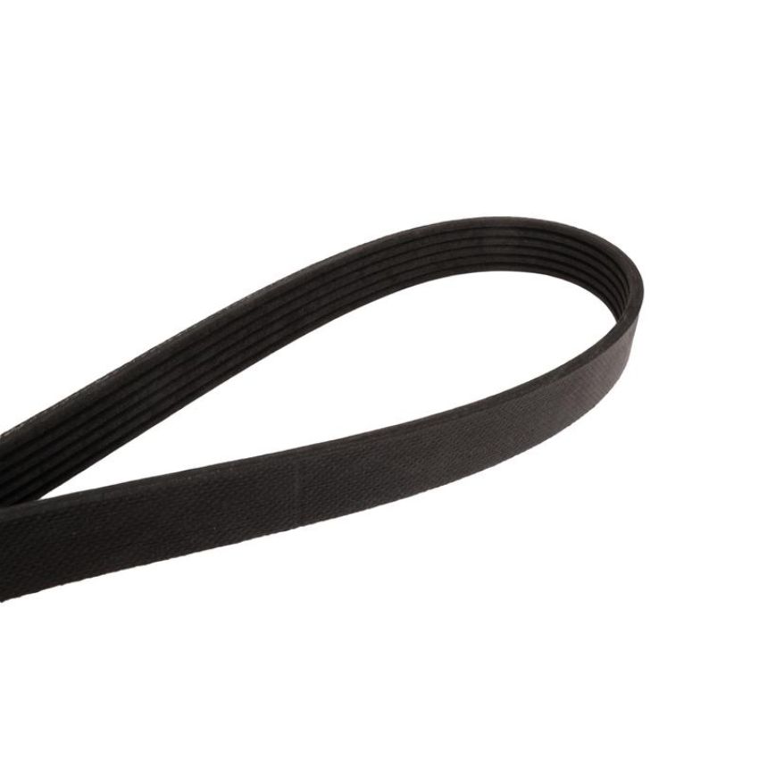 CONTITECH 6PK1453 Metric Multi-V Belt